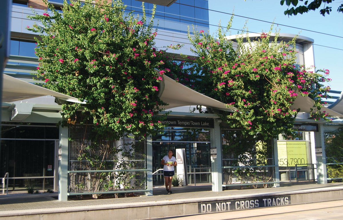 Greenscreen® Panels at Valley Metro Rail