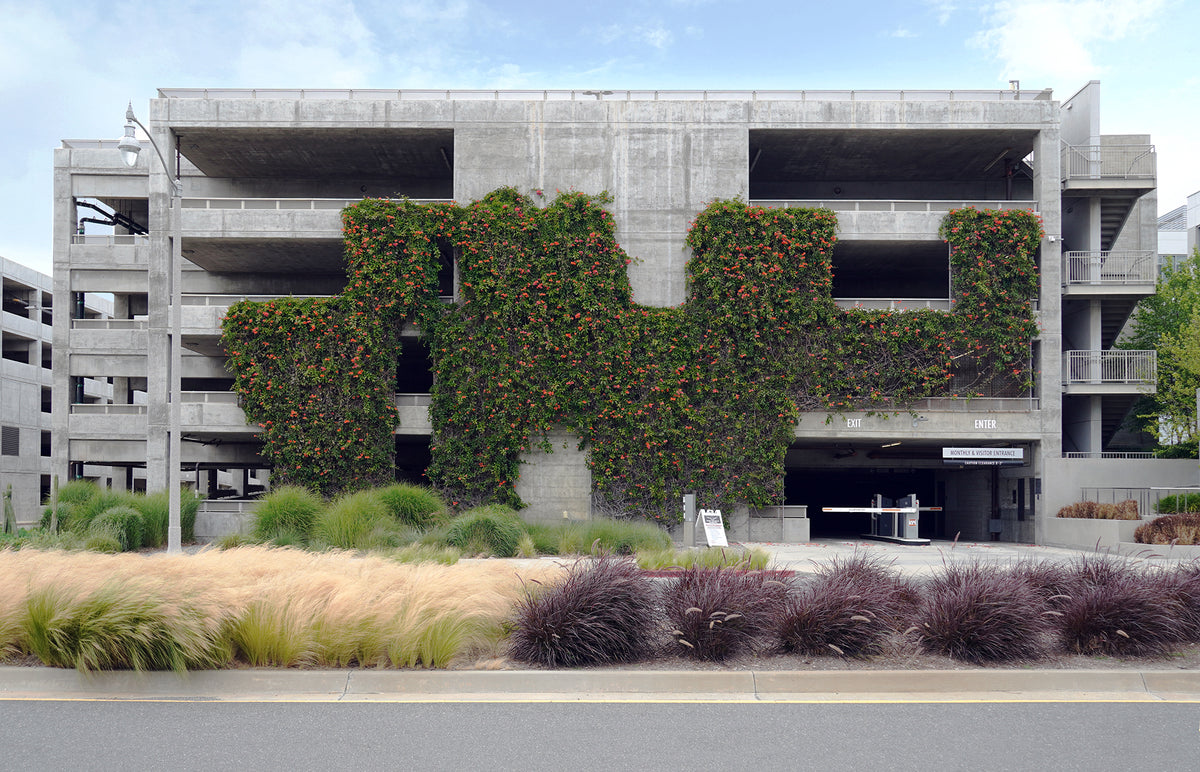 The Bluffs at Playa Vista: A Model of Sustainable Urban Design