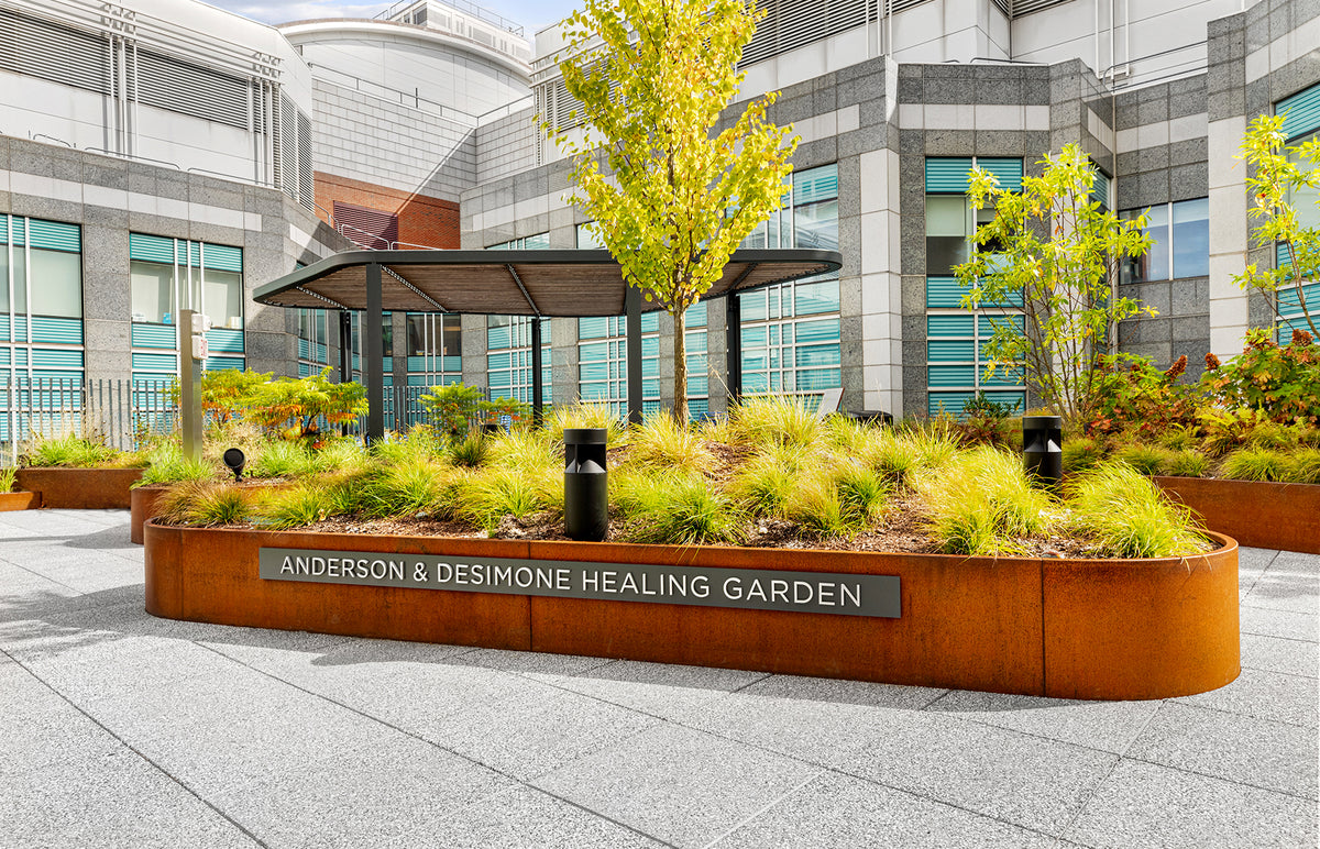 The Healing Power of Nature: Anderson & Desimone Healing Garden