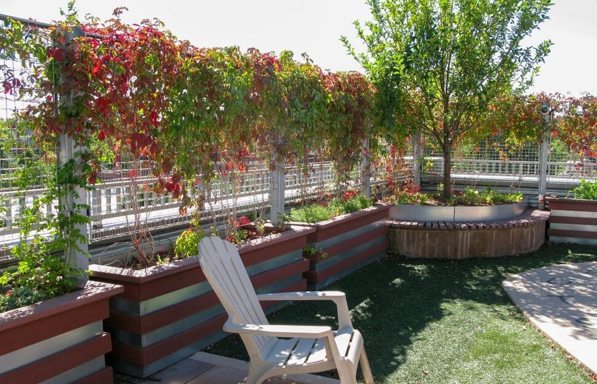 Nurturing Community Through a Green Gathering Space