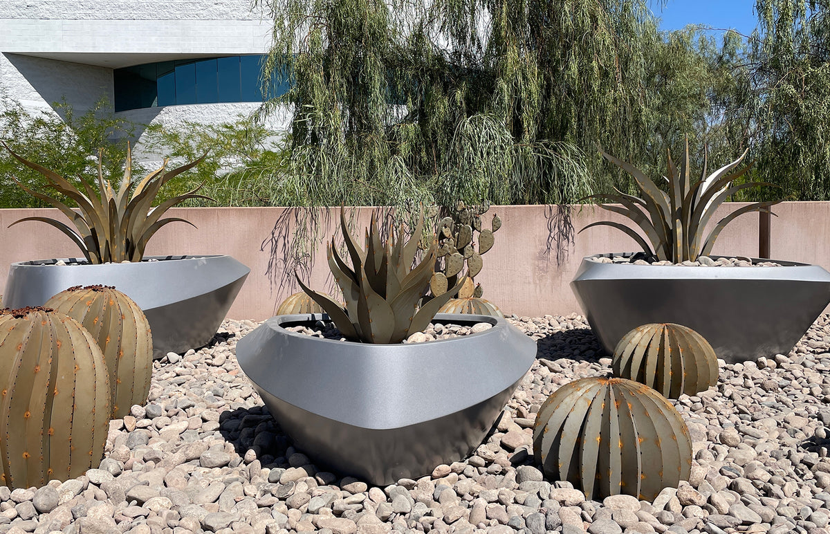 Desert Delight