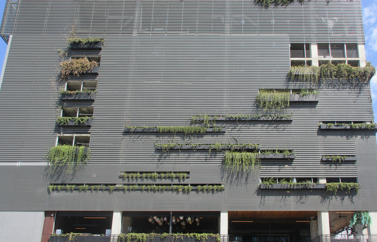 70 Rainey – A Garden in the Sky