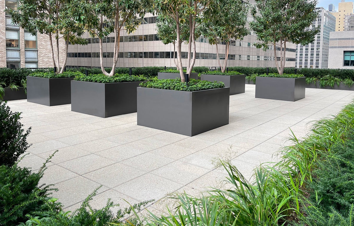 Park Avenue's Rooftop Oasis