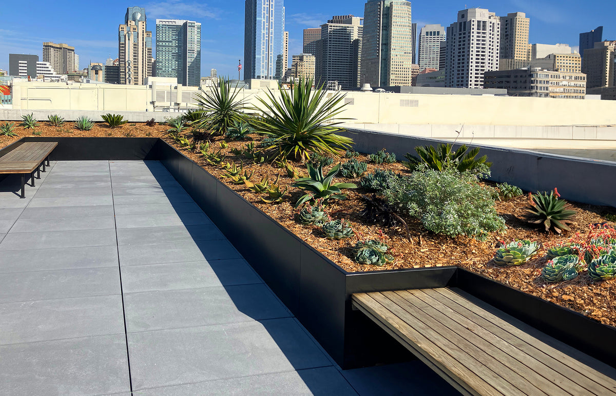 Stunning Views of SoMa