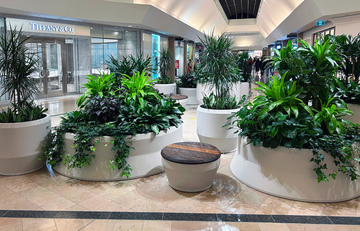 A Retail Destination: Cadillac Fairview's Sherway Gardens Brings In The Green