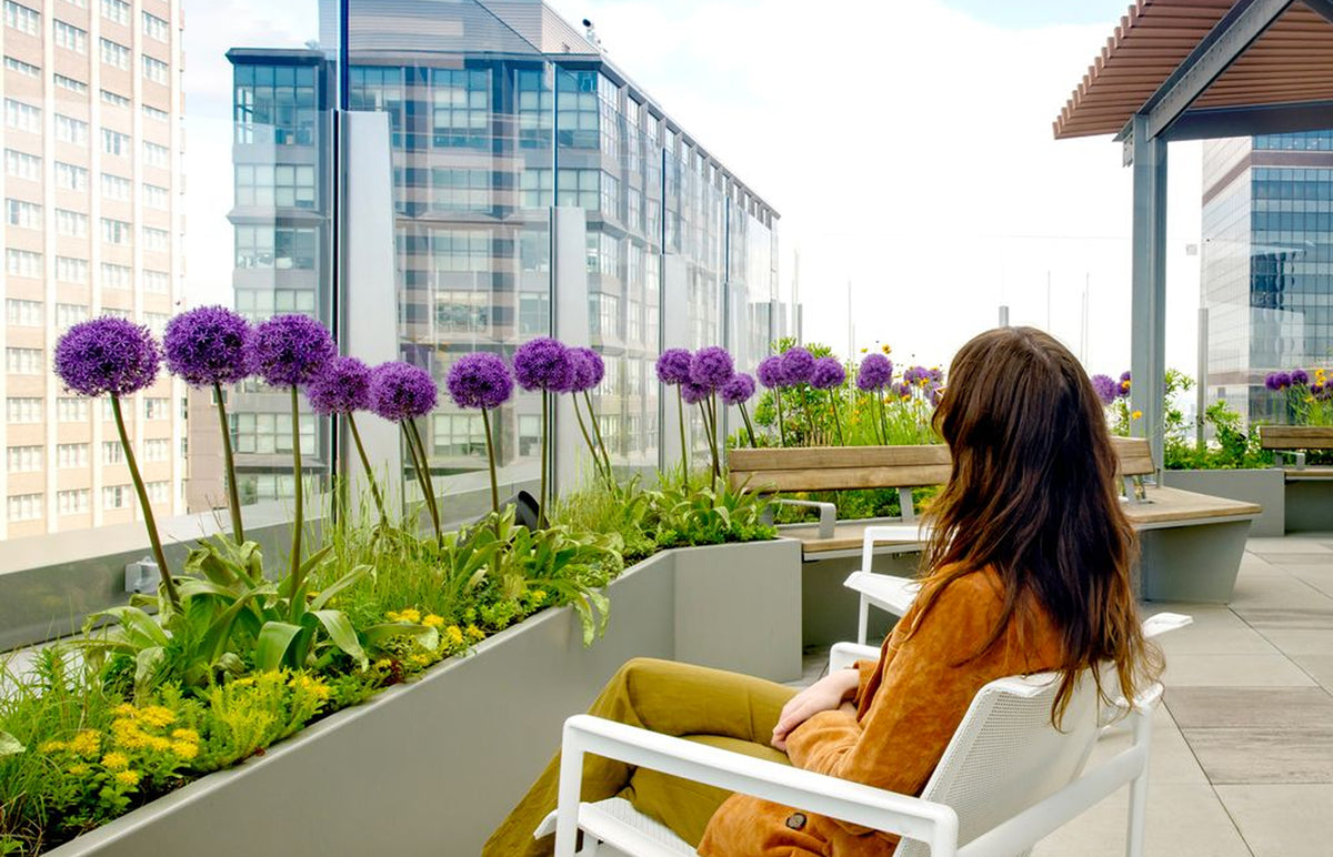A Healing Terrace at Honickman Center
