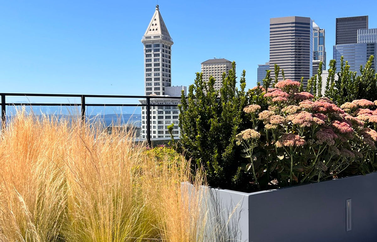 KODA Seattle Modern Rooftop