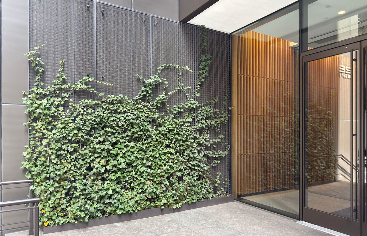 Greenscreen® Makes an Entrance in Madison Square