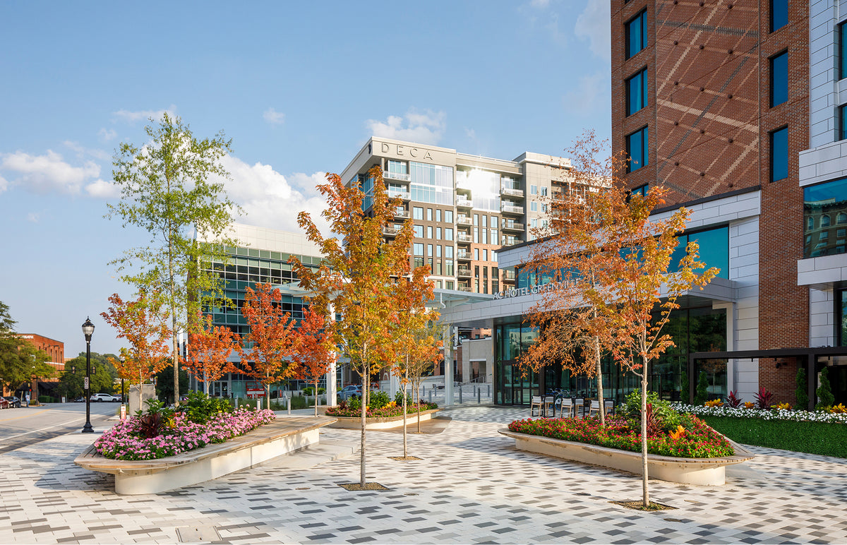 Camperdown Plaza & Streetscape
