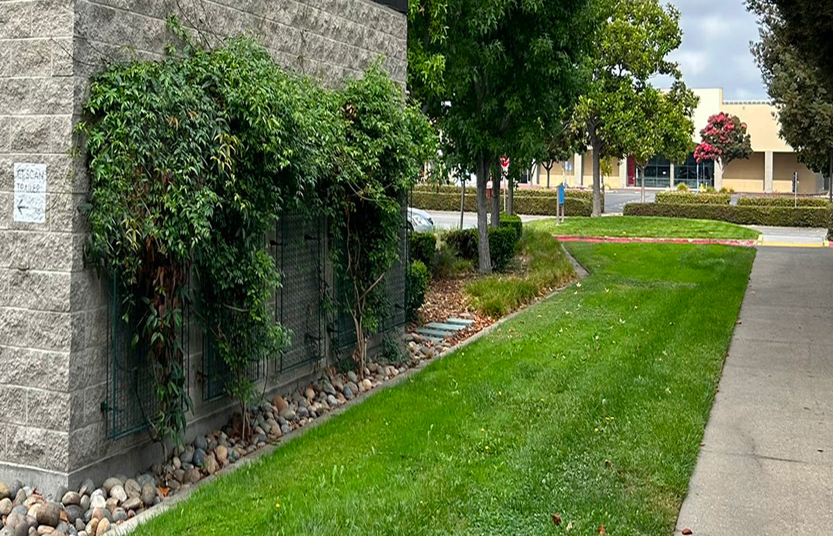 Greenscreen®, Function Meets Foliage