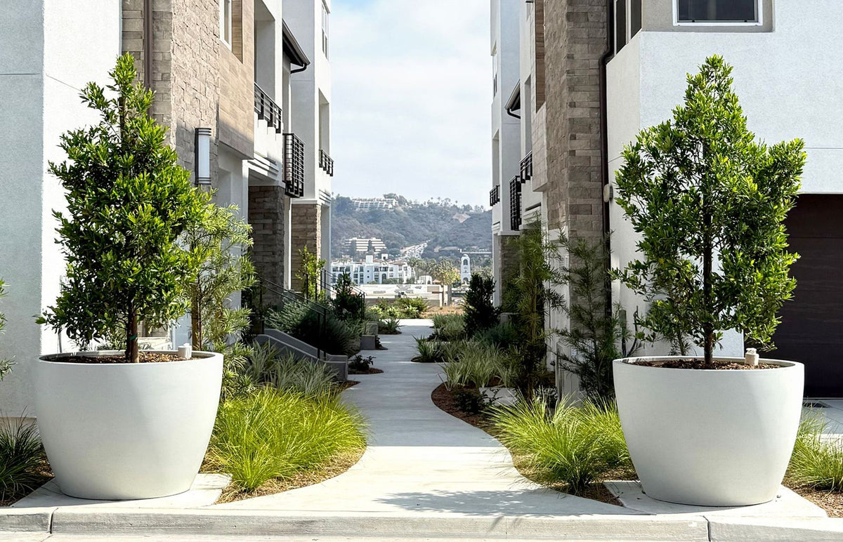 Designing Community - Everly at Civita Townhomes