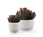 Paso Planter, GFRC Round