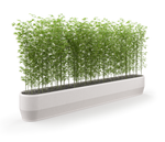 Paso Planter, GFRC Linear Sectional