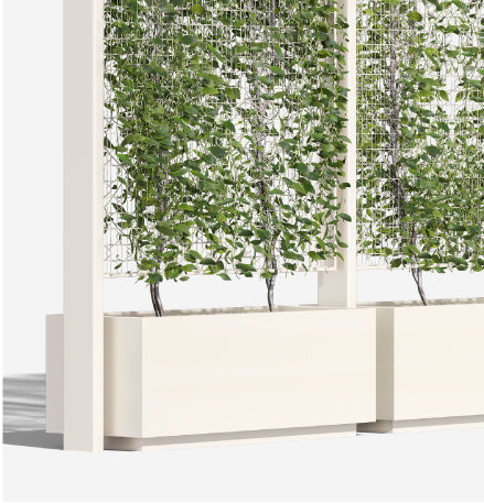 Post & Vine Cantilever