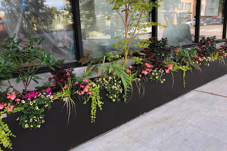 Commercial Planter Material Options