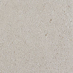 Sample | GFRC Shark, Acid Etch