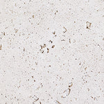 Sample | GFRC Shark, Travertine