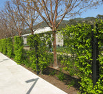 Greenscreen® Fencing