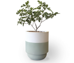 Two-Tone Bolinas Planter, GFRC Round additional image 2