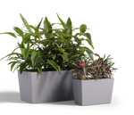 Urban Planter, FRP Rectangle