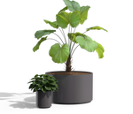 Wilshire Planter, FRP Round with Toe Kick