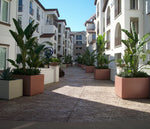 Wilshire Planter, FRP Square with Toe Kick additional image 1