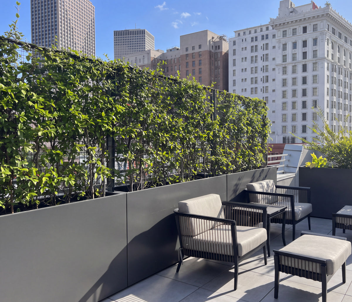 Wilshire Planter, FRP Rectangle with Greenscreen® Trellis additional image 1