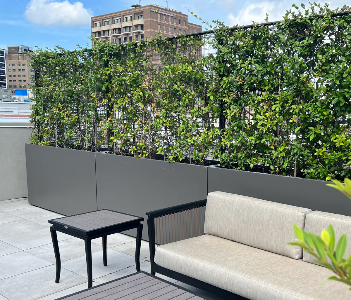 Wilshire Planter, FRP Rectangle with Greenscreen® Trellis additional image 2