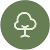 Leading the Way: Tournesol’s First Sustainability Award Winners